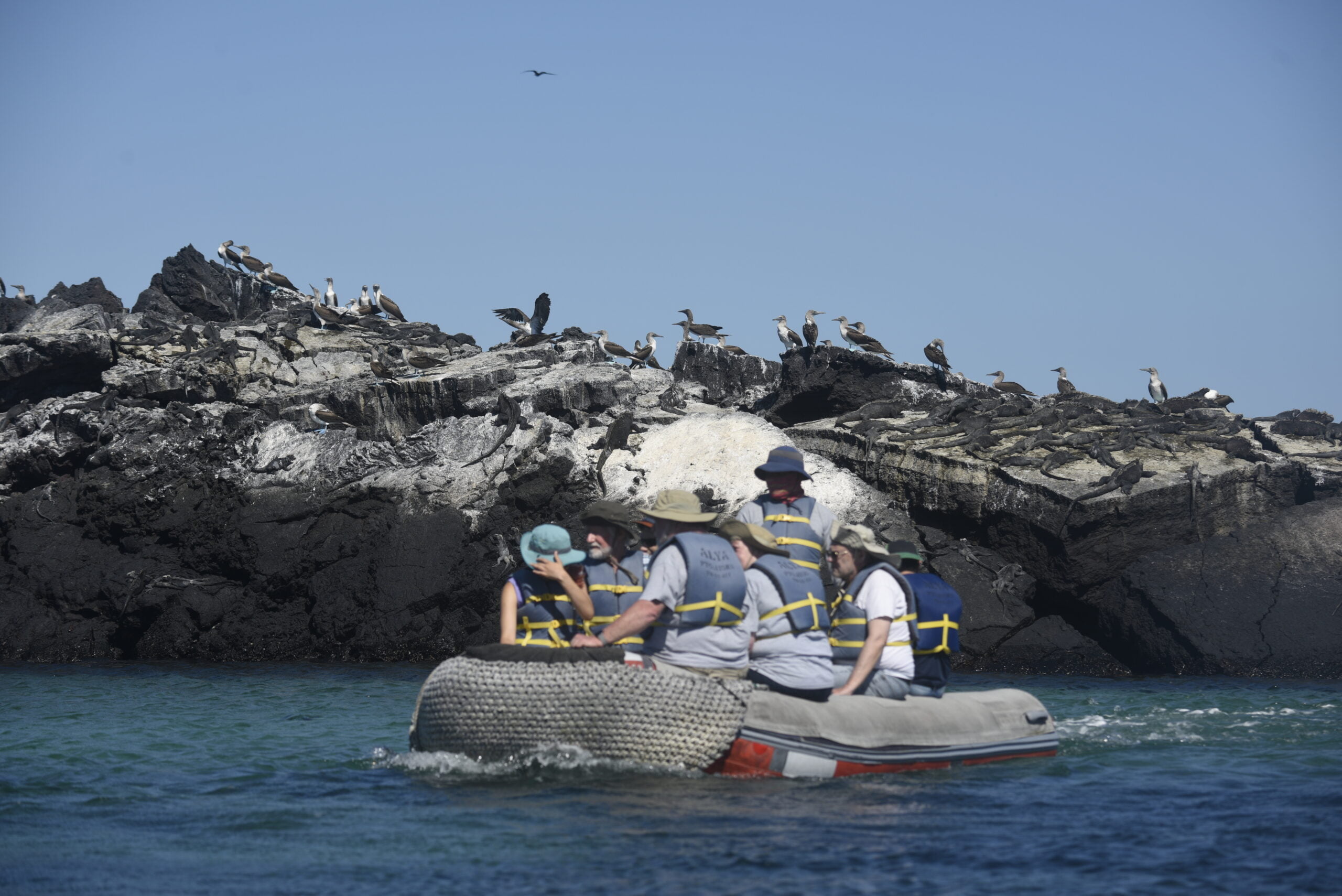 EXPERIENCE 3 Experience