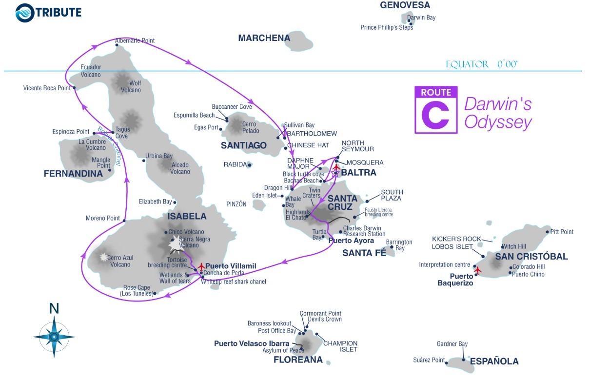 Itinerary 7C Tribute