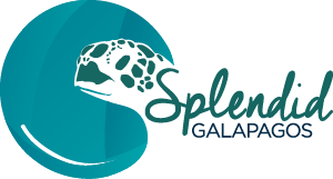 Splendid Galapagos Logo